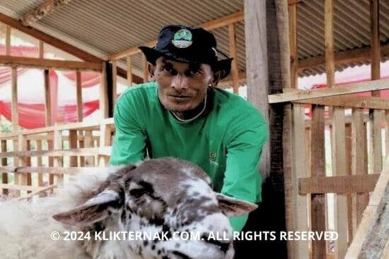 Thumbnail Website KT 9