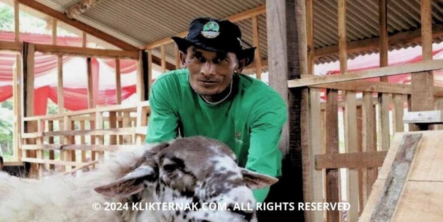 Thumbnail Website KT 9