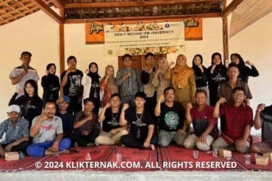 Thumbnail Website KT 20240802 065046 0000