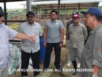 Thumbnail Website KT 20240805 124006 0000