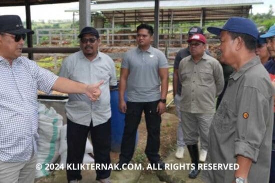 Thumbnail Website KT 20240805 124006 0000