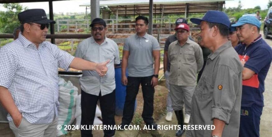 Thumbnail Website KT 20240805 124006 0000