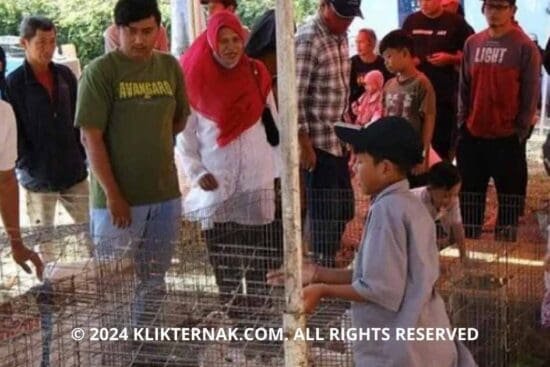 Thumbnail Website KT 20240805 124506 0000