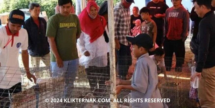 Thumbnail Website KT 20240805 124506 0000