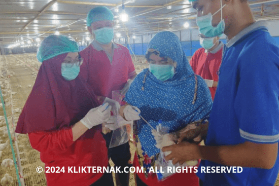 Thumbnail Website KT 20240817 122028 0000