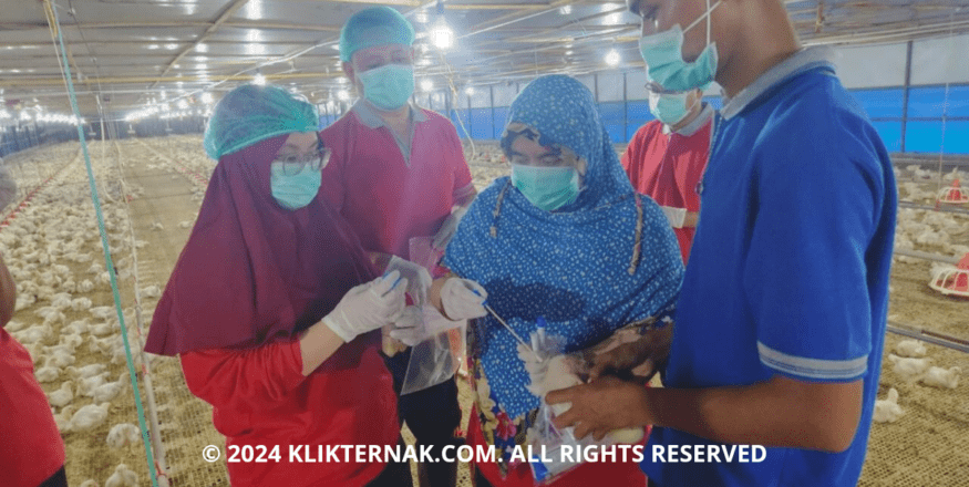 Thumbnail Website KT 20240817 122028 0000