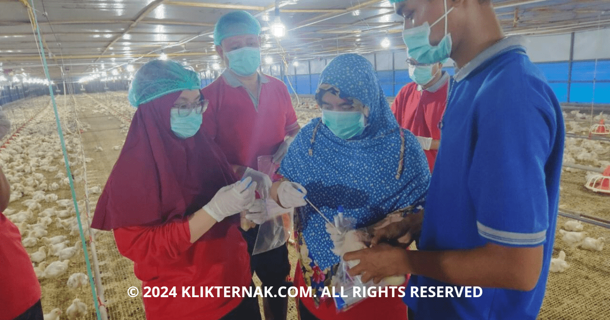 Thumbnail Website KT 20240817 122028 0000