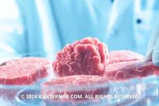 Thumbnail Website KT 20240824 121002 0000