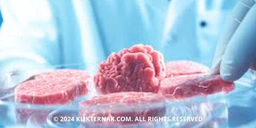 Thumbnail Website KT 20240824 121002 0000