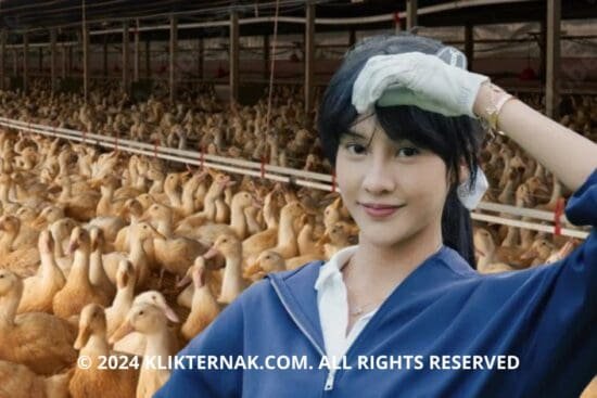 2 20240903 124029 0001