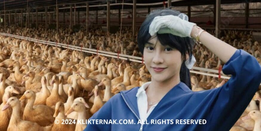 2 20240903 124029 0001