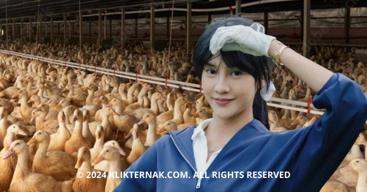 2 20240903 124029 0001