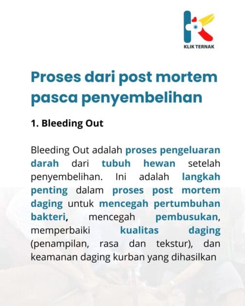 Daging Kolestrol TInggi 2 scaled