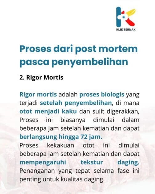 Daging Kolestrol TInggi 3 scaled