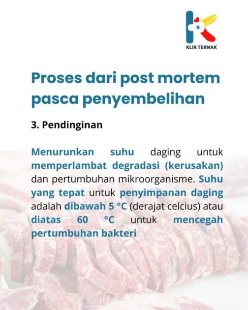 Daging Kolestrol TInggi 4 scaled