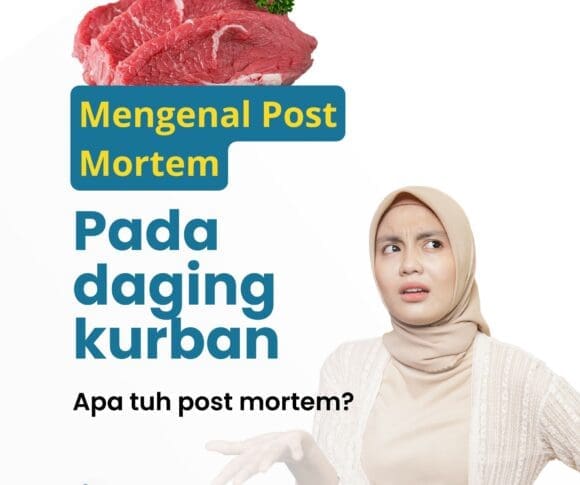 Susu uht VS Kental Manis scaled