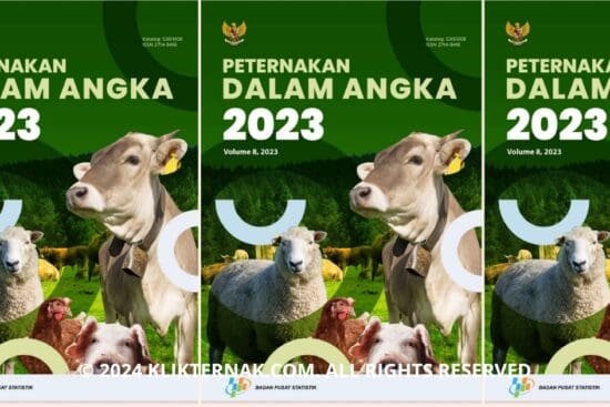 Thumbnail Website KT 20240901 213329 0000