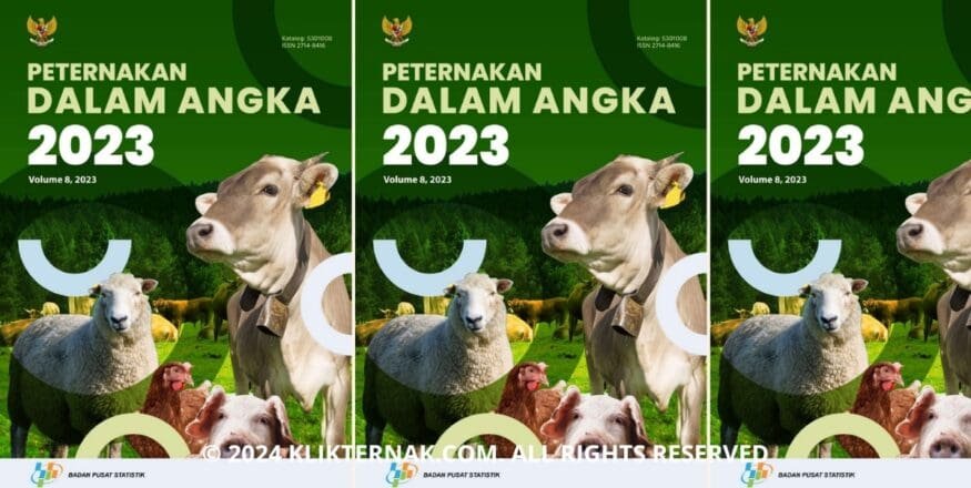 Thumbnail Website KT 20240901 213329 0000