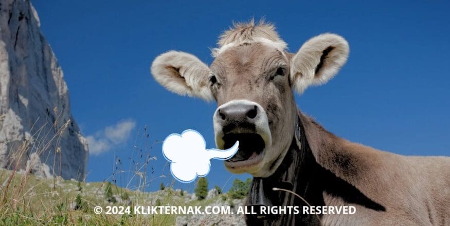 Thumbnail Website KT 20240911 062120 0000