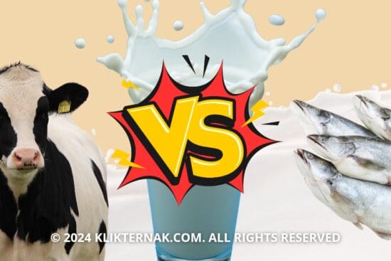 Thumbnail Website KT 20240917 080950 0000