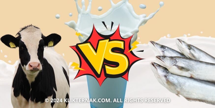 Thumbnail Website KT 20240917 080950 0000