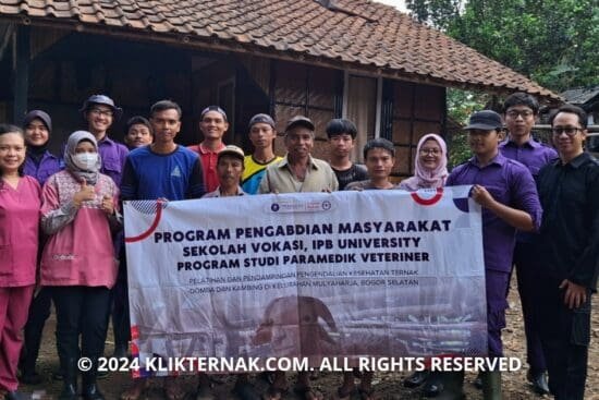 Thumbnail Website KT 20240920 191958 0004 1