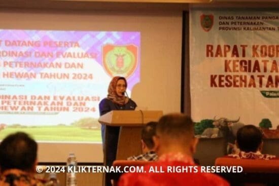 Thumbnail Website KT 20240922 201531 0000