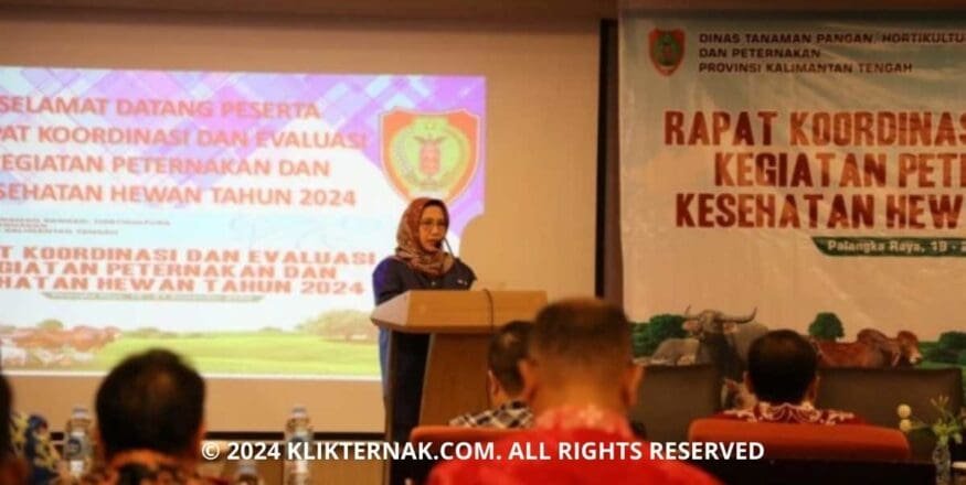 Thumbnail Website KT 20240922 201531 0000