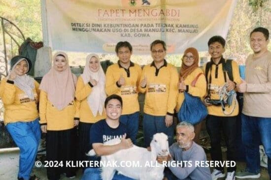 Thumbnail Website KT 20240922 202923 0000