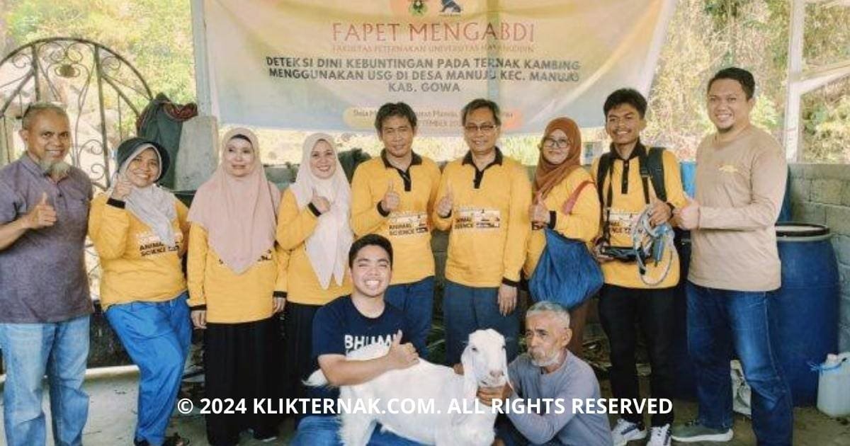 Thumbnail Website KT 20240922 202923 0000