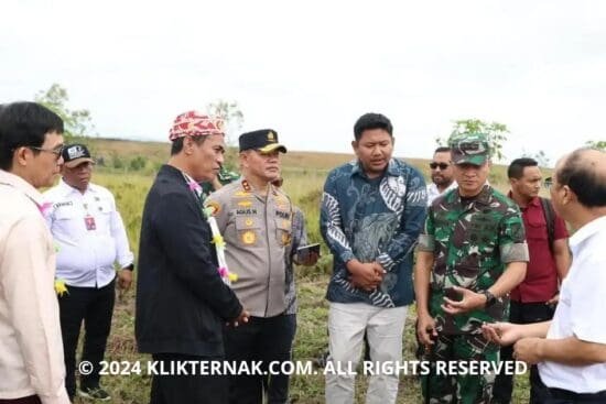 Thumbnail Website KT 20240929 180919 0000