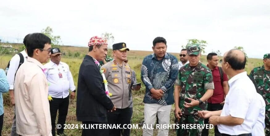 Thumbnail Website KT 20240929 180919 0000