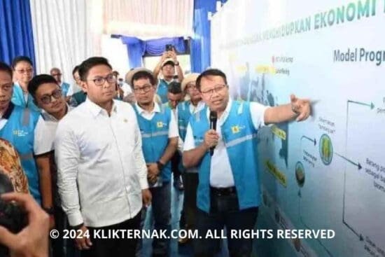 Thumbnail Website KT 20240929 183259 0000