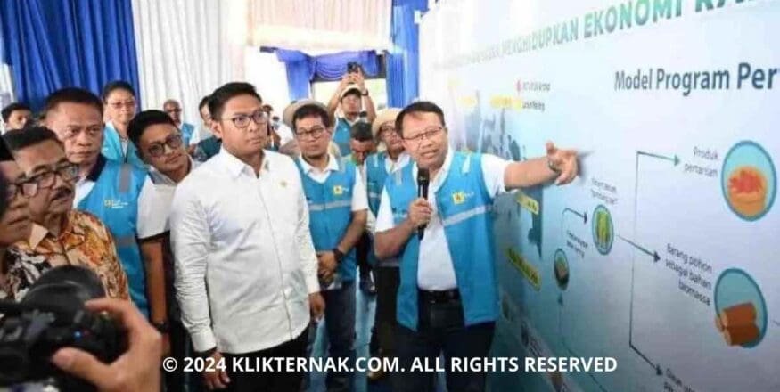 Thumbnail Website KT 20240929 183259 0000