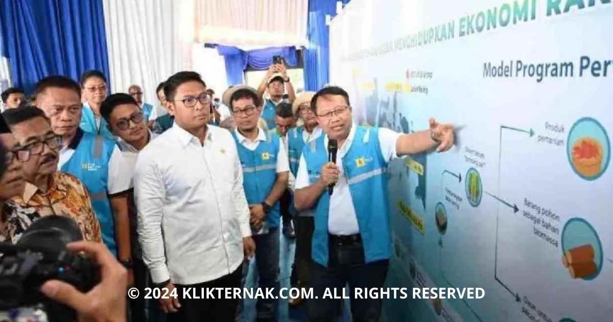 Thumbnail Website KT 20240929 183259 0000