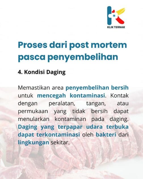 Snapinsta.app 448330876 461523206819247 6902897947609385381 n 1080 e1727922095947