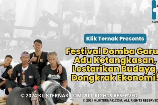 Thumbnail Website KT 20