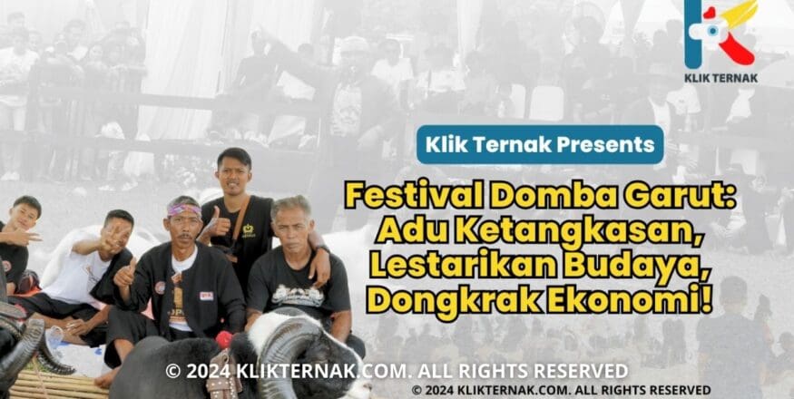 Thumbnail Website KT 20