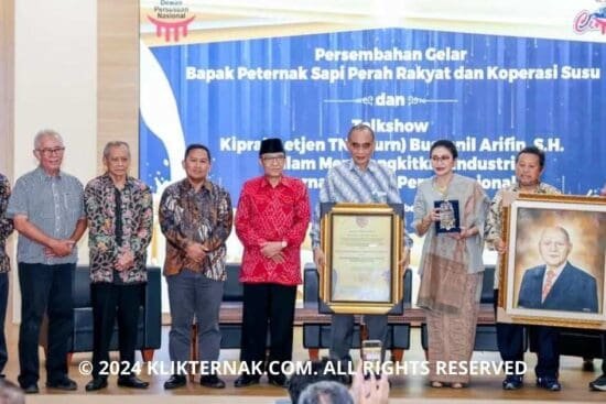 Thumbnail Website KT