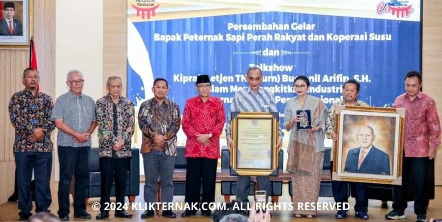 Thumbnail Website KT