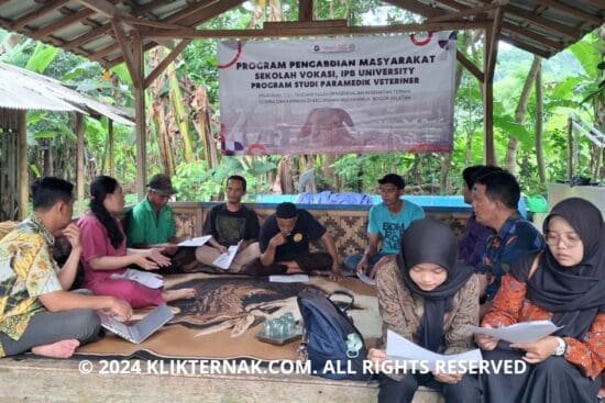 Thumbnail Website KT 20241014 124301 0000