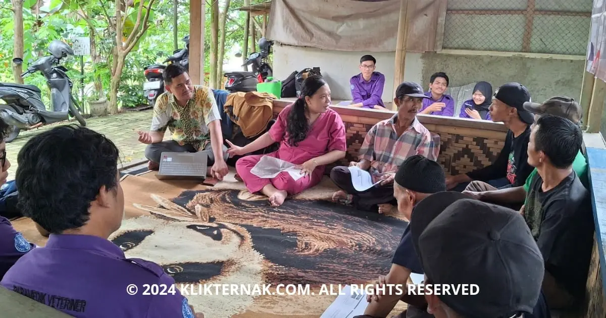 IPB Paramedik Veteriner Latih Peternak Kambing Domba di Mulyaharja