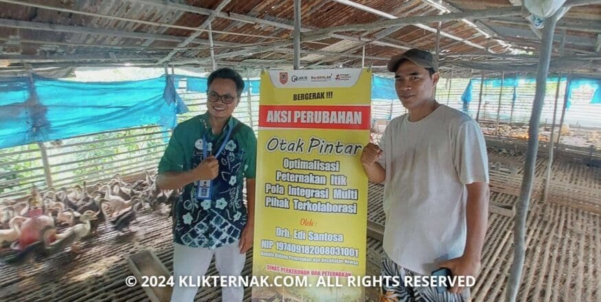 Thumbnail Website KT 20241019 124108 0000