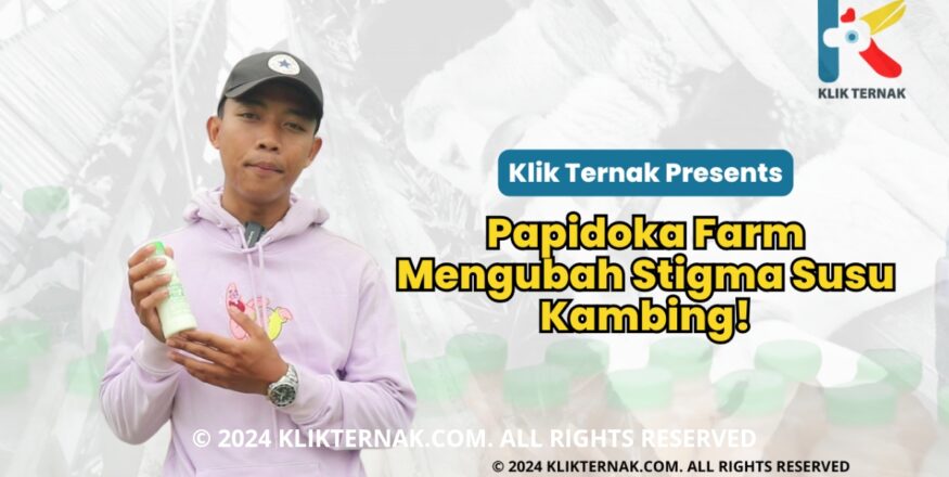 Thumbnail Website KT 20241029 123204 0000