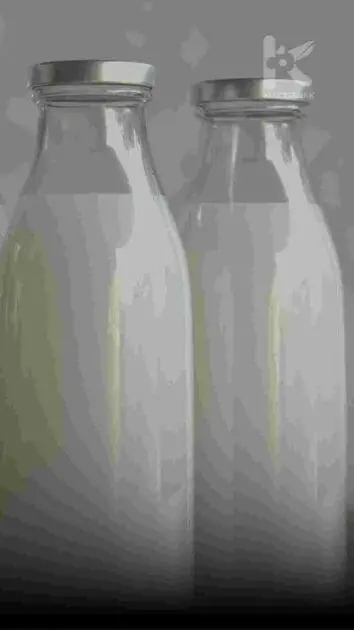 Susu
