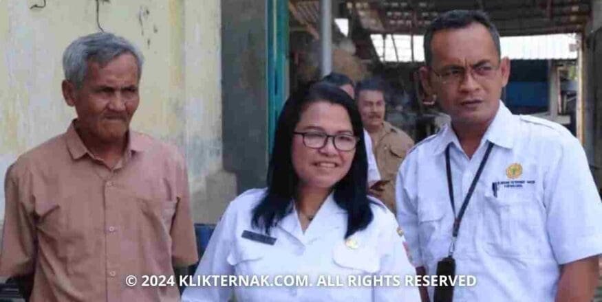 Dongkrak Ekonomi Daerah, Harapan Pedagang Sapi Sinjai