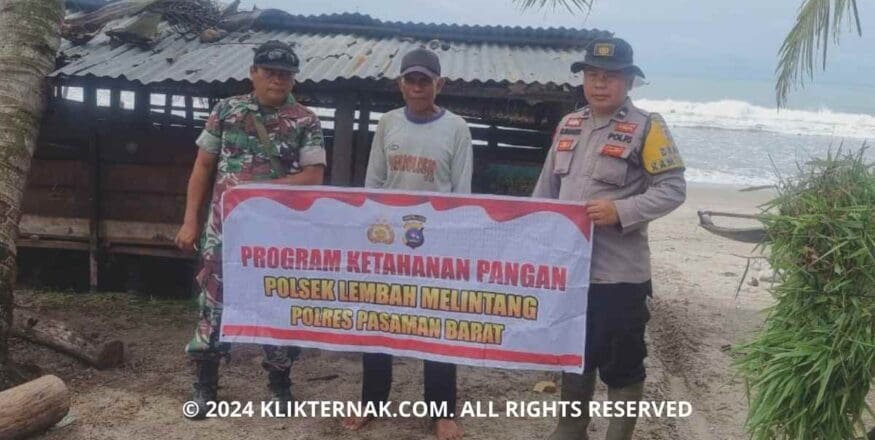 Bhabinkamtibmas Bersama Peternak Kerbau Sikilang Perkuat Ketahanan Pangan