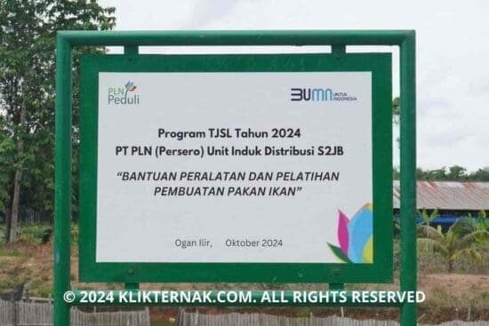 PLN Dorong Optimalisasi Peternakan di Desa Tanjung Bulan