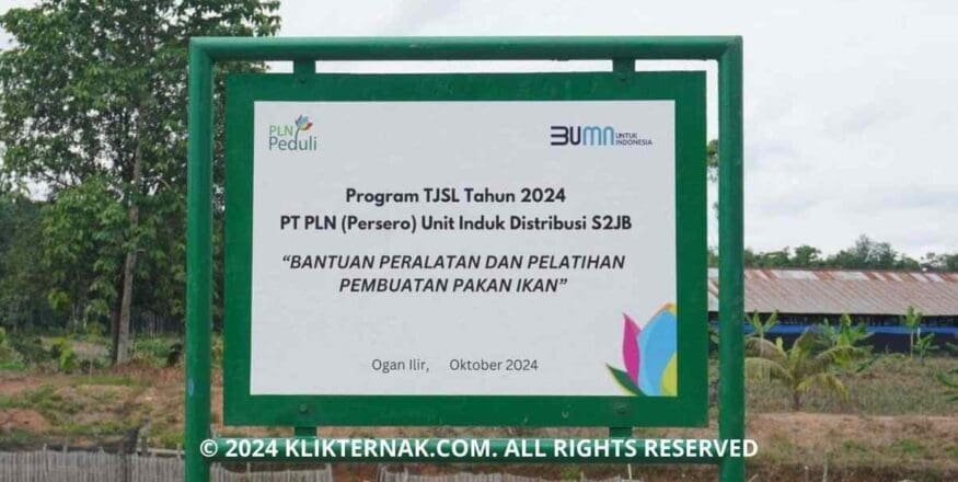 PLN Dorong Optimalisasi Peternakan di Desa Tanjung Bulan