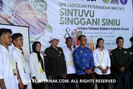 Susu Sapi Pedaging: Solusi Terabaikan untuk Atasi Stunting di Indonesia
